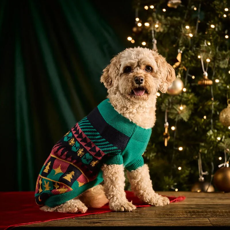 Christmas Dog Jumper